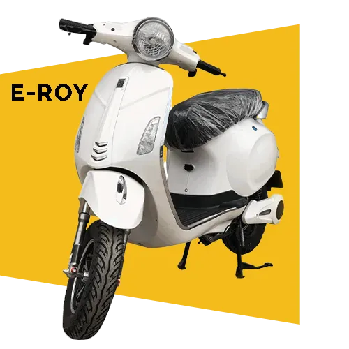 E ROY Electric Scooter